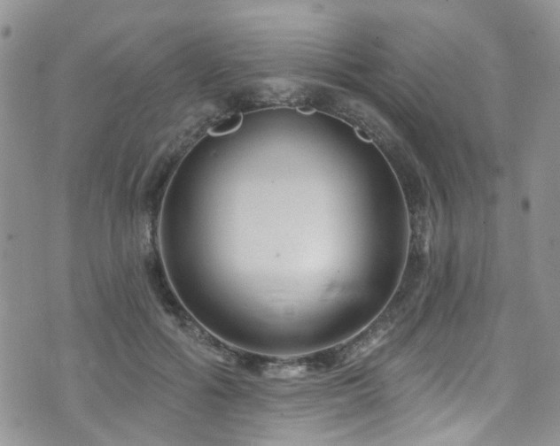 X0000073730602200608031331