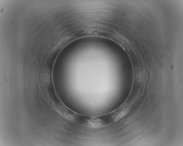 X0000073730603200608031331