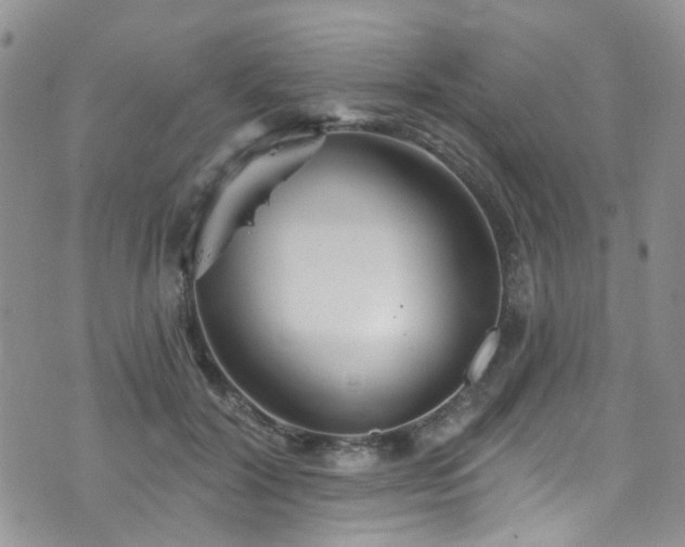 X0000073730604200608031331