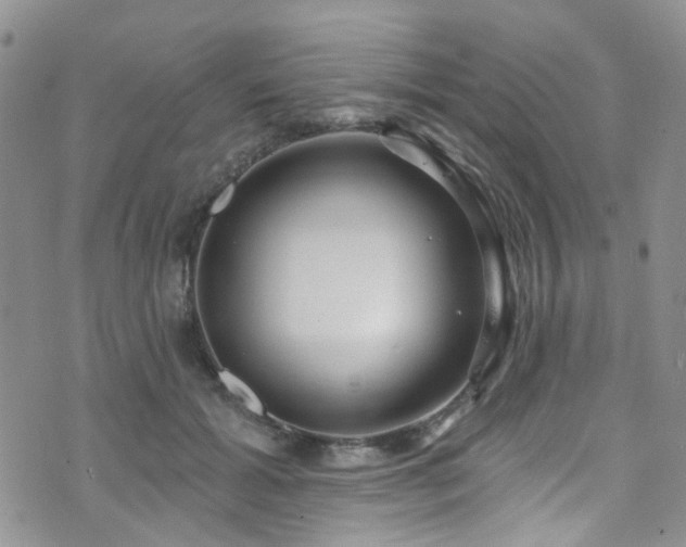 X0000073730605200608031331