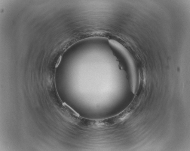 X0000073730607200608031331