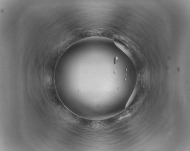 X0000073730608200608031331