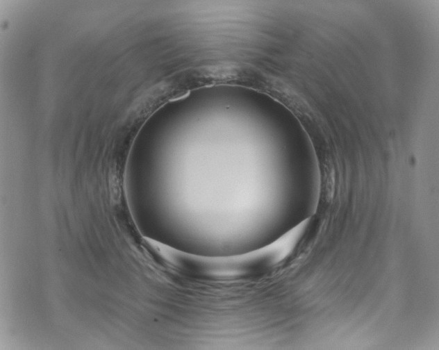 X0000073730609200608031331