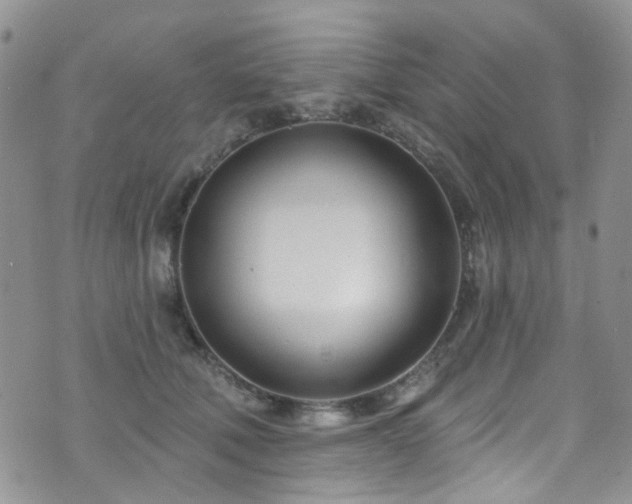 X0000073730610200608031331