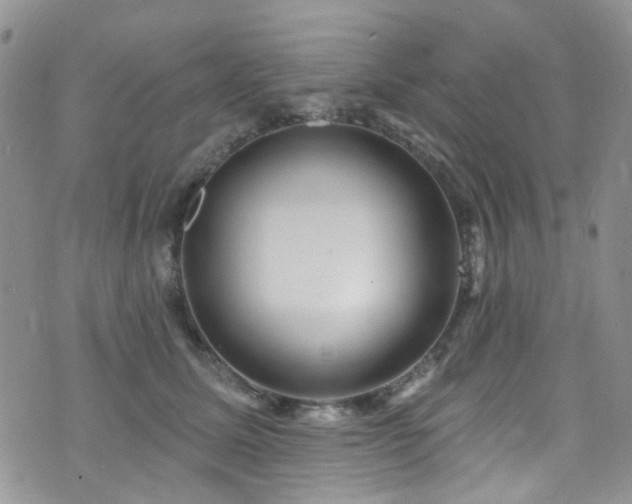 X0000073730611200608031331