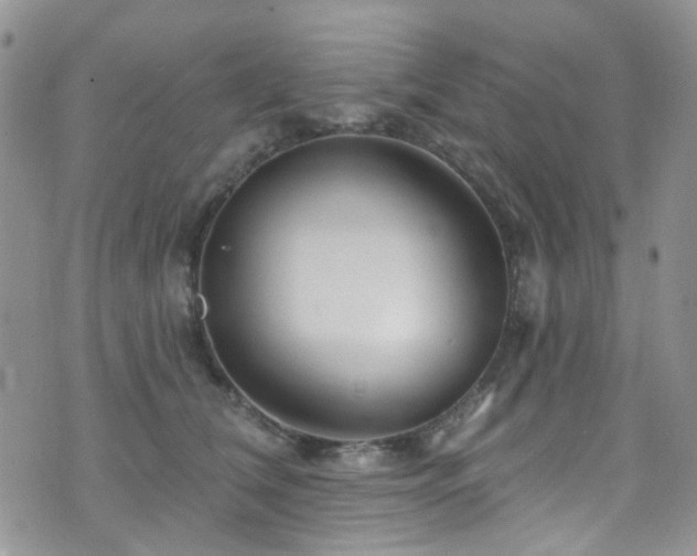 X0000073730612200608031331