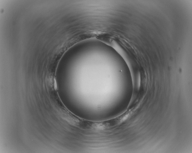 X0000073730613200608031331