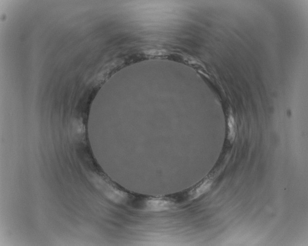 X0000073730614200608031331