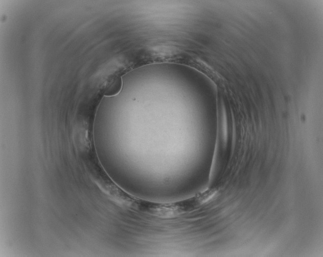 X0000073730615200608031331