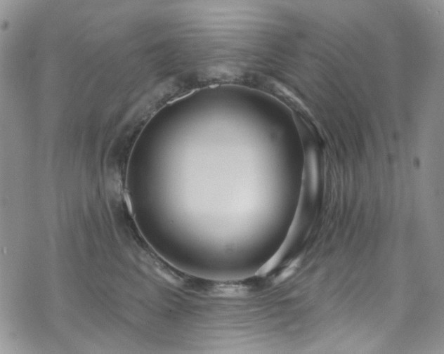 X0000073730617200608031331