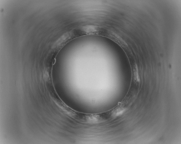 X0000073730618200608031331