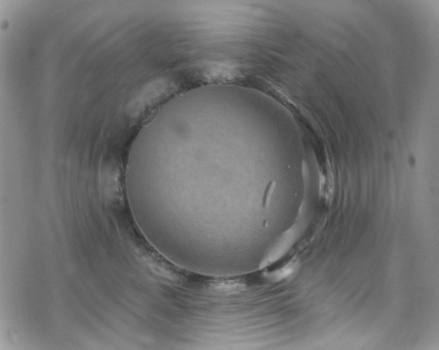 X0000073730619200608031331