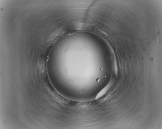 X0000073730620200608031331