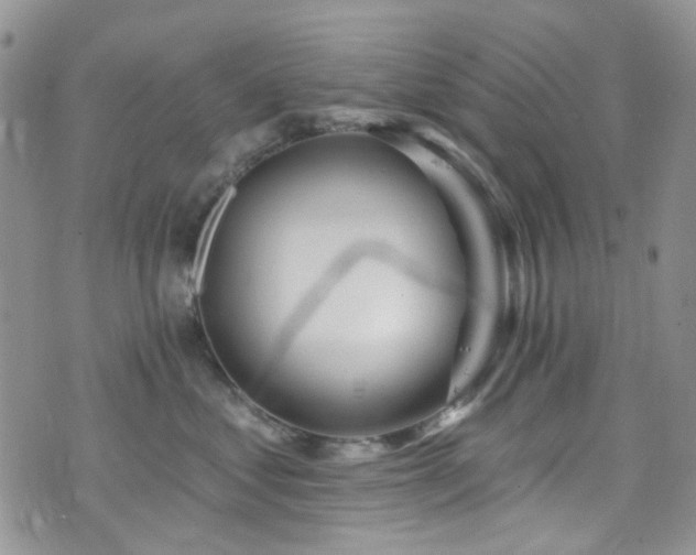 X0000073730621200608031331