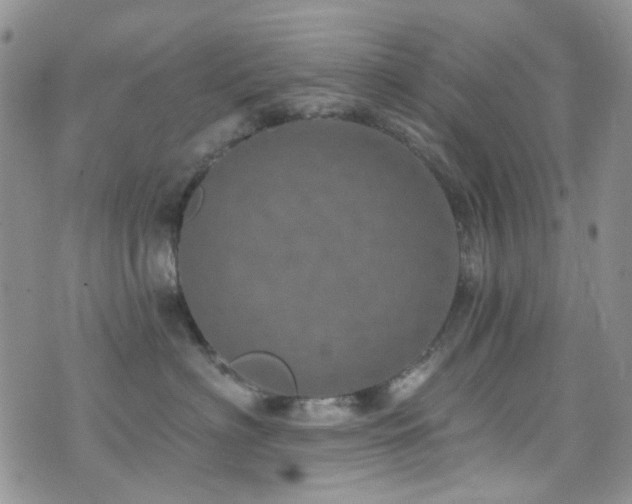 X0000073730622200608031331