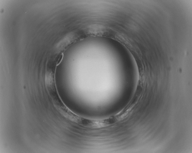 X0000073730623200608031331