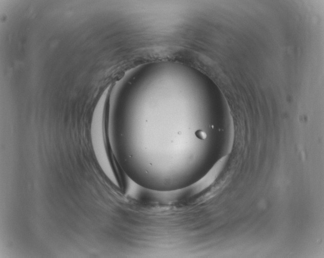 X0000073730624200608031331