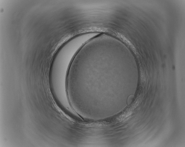 X0000073730625200608031330