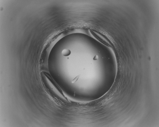 X0000073730626200608031330