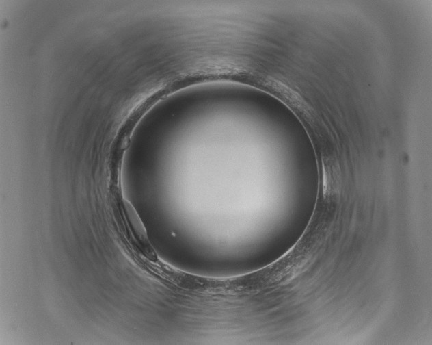 X0000073730627200608031330