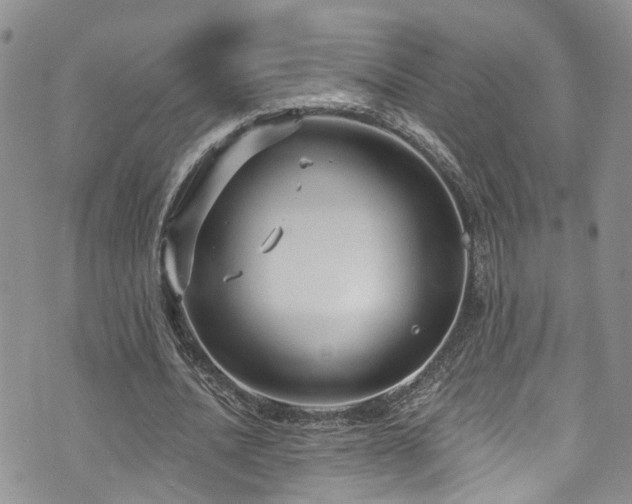 X0000073730628200608031330