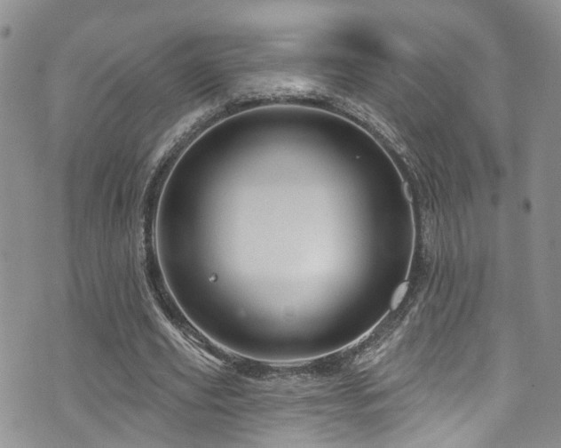 X0000073730629200608031330