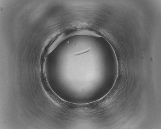 X0000073730630200608031330