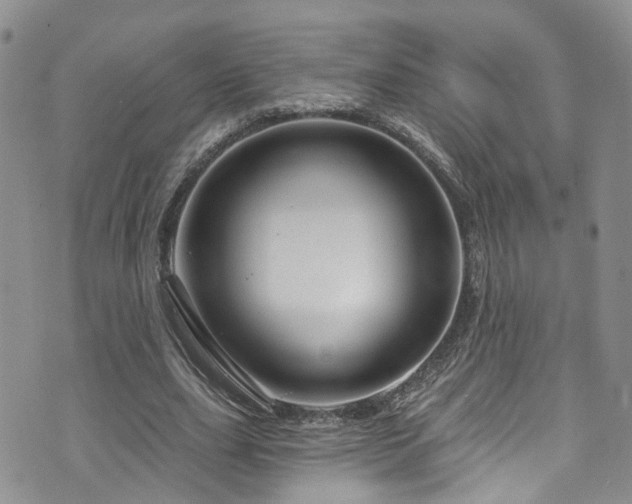 X0000073730631200608031330