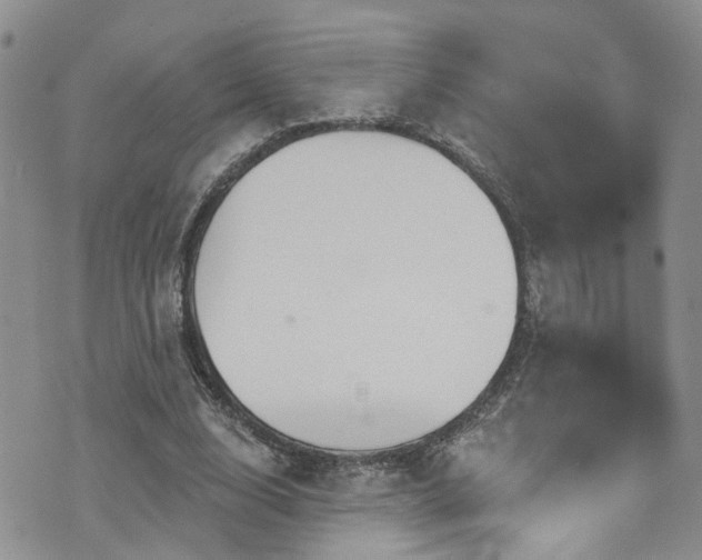 X0000073730632200608031330