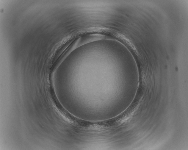 X0000073730633200608031330