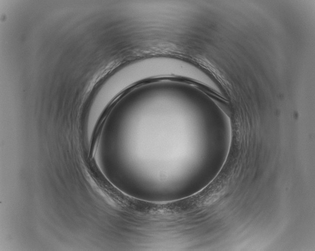 X0000073730634200608031330