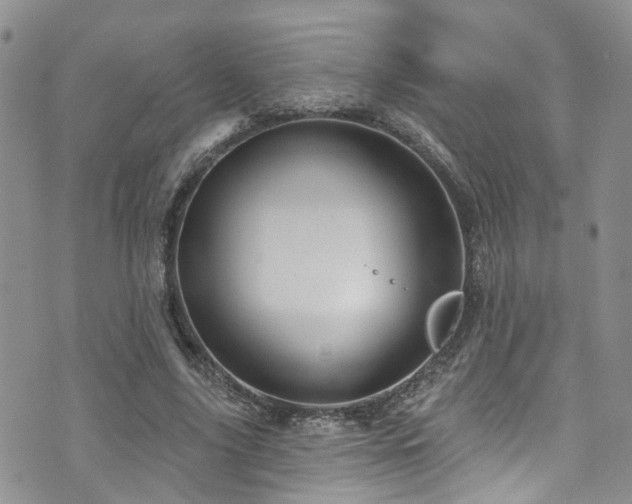 X0000073730635200608031330