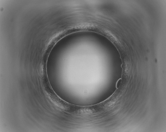 X0000073730636200608031330