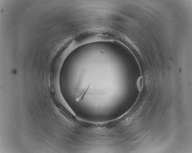 X0000073730637200608031330