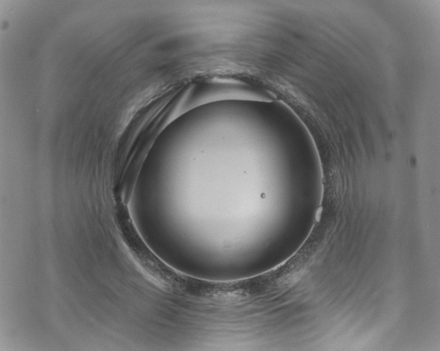 X0000073730638200608031330