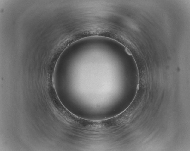 X0000073730639200608031330