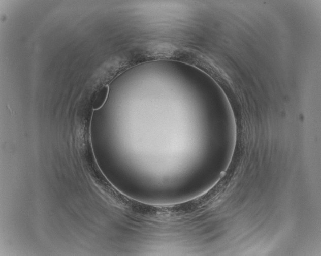 X0000073730641200608031330