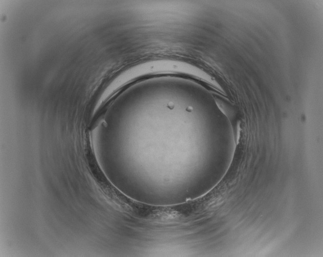 X0000073730642200608031330