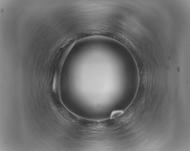 X0000073730643200608031331