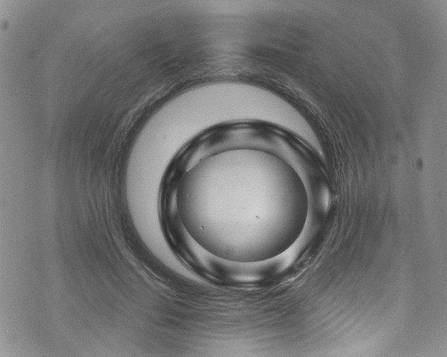 X0000073730644200608031331