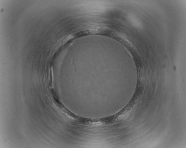 X0000073730645200608031331