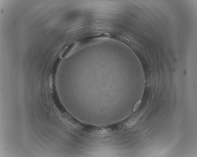 X0000073730646200608031331