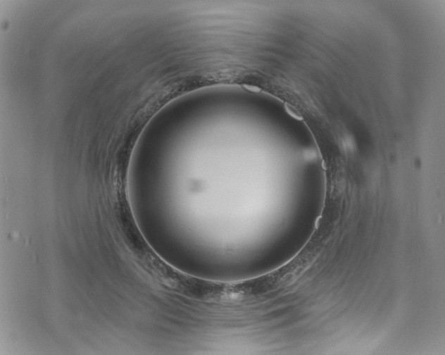 X0000073730647200608031331