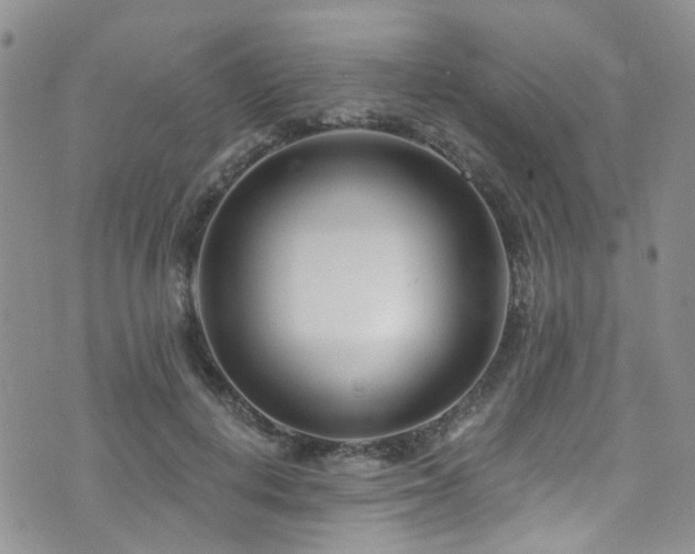 X0000073730648200608031331