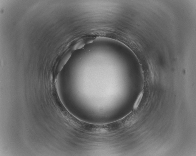 X0000073730649200608031331