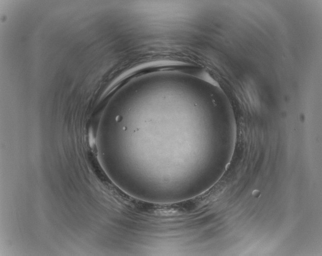 X0000073730650200608031331