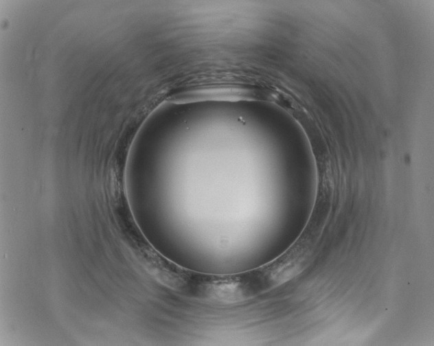 X0000073730651200608031331