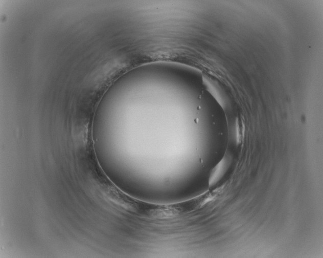 X0000073730652200608031331