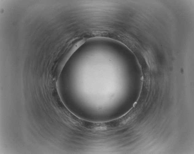 X0000073730653200608031331