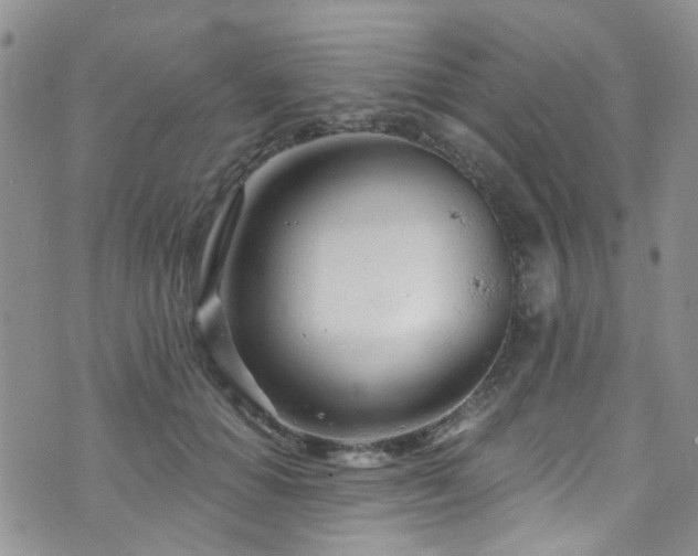 X0000073730654200608031331